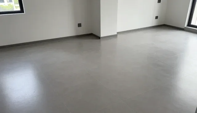 软件研发与开发中的适用条件检查要点解析
